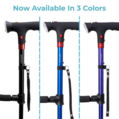 StandSecure Cane™